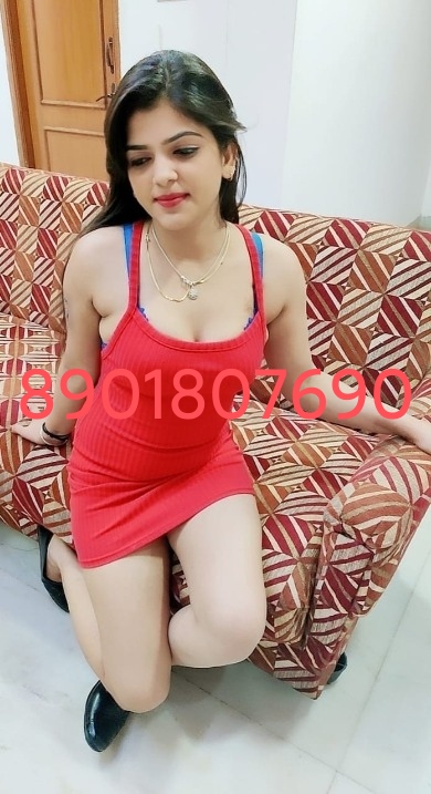 independent call girls in noida call 8901807690