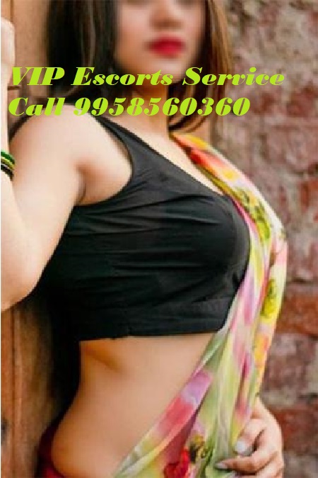 +91-9958560360 Top Class Call Girls in Mayur Vihar Near Holiday Inn Hotel, Russian Escort Service