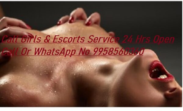 +91-9958560360 Top Class Call Girls in Mayur Vihar Near Holiday Inn Hotel, Russian Escort Service